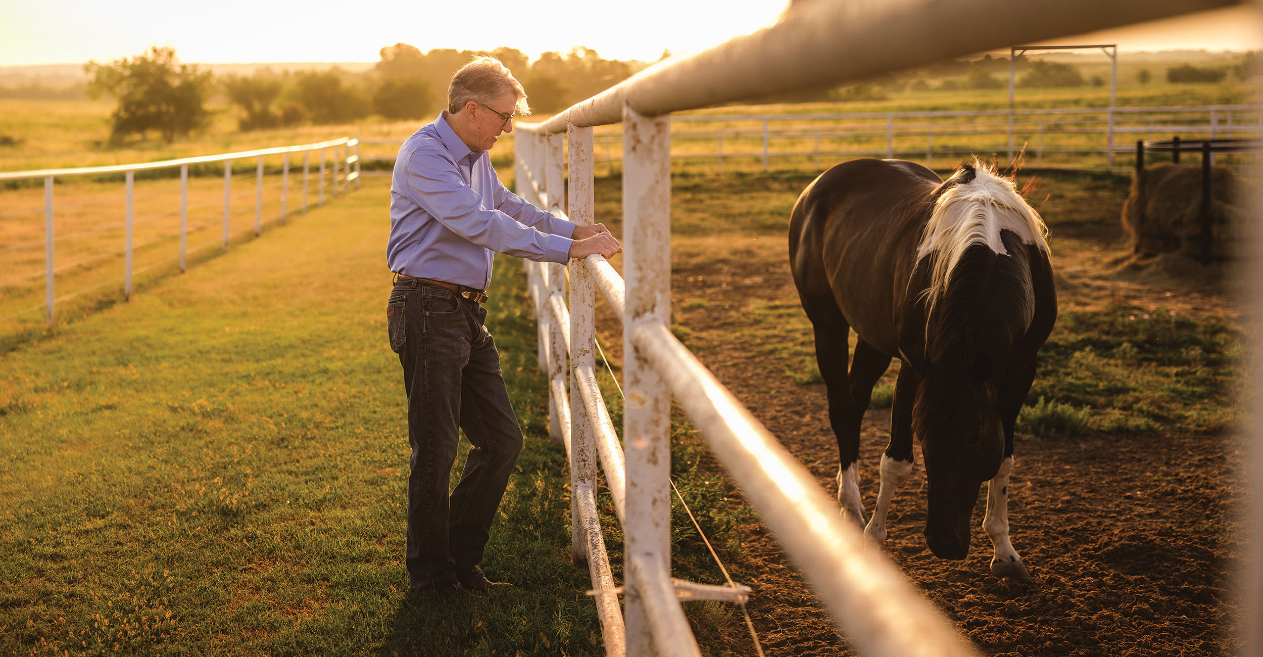 A man in a blue shirt and jeans stands beside a white fence in a grassy field, looking at a black horse with white markings on its mane. The setting sun casts a warm glow over the scene.
