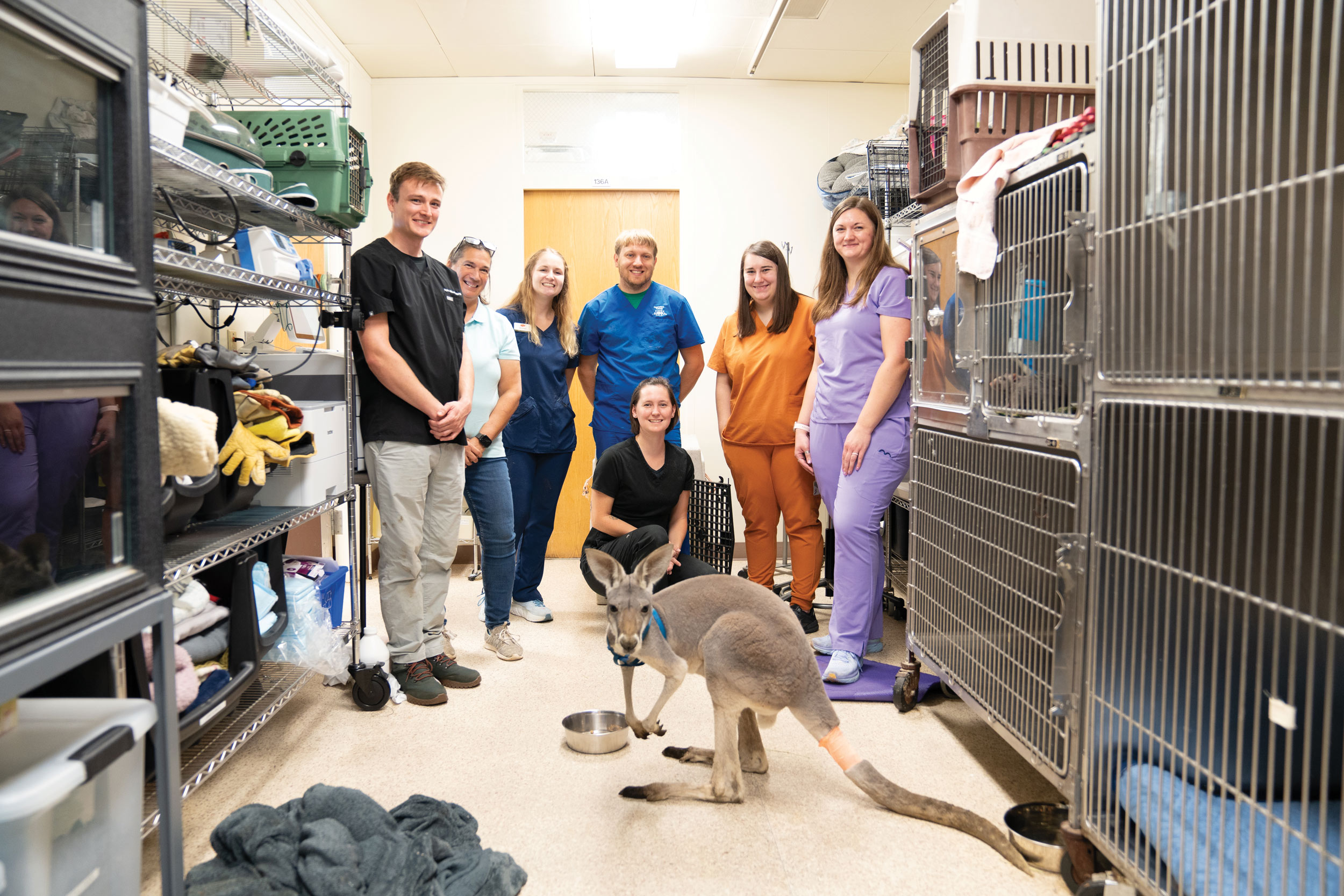 Zoo medicine team along with Ozzie the kangaroo.