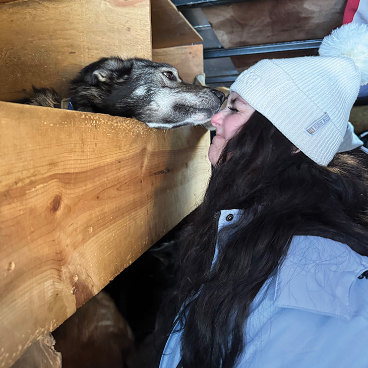 A person wearing a light blue winter jacket and a knit hat with a pom-pom is leaning toward a sled dog resting in a wooden enclosure. The dog’s head is extended out of the opening, appearing to nuzzle the person.