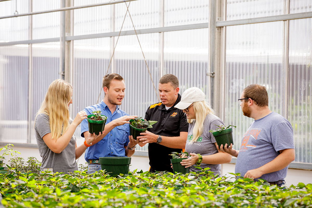 Professor and students gather around plants in greenhouse